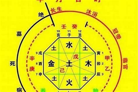 喜用神 金水|怎樣確定自己的八字喜用神